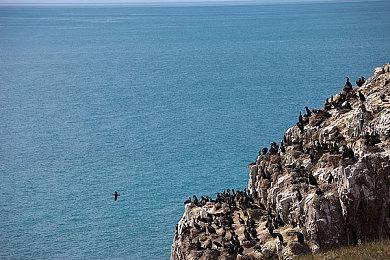 英国上周实体游戏销量榜 《战神 诸神黄昏》重新登顶