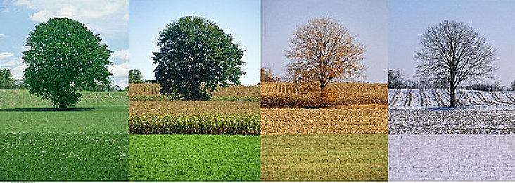 赛博朋克银恶游戏《天空之尘》面向PC公布