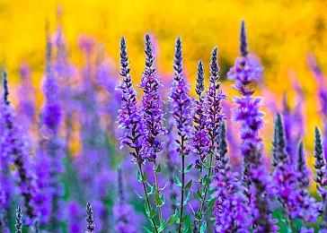 PCF确认：《Outriders》至今尚未盈利